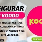 configurar apn koodo canada internet